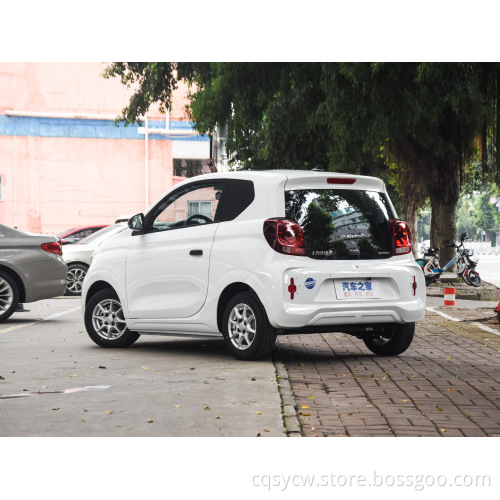 Multiple type vehicle car new energy electric car chinese export branded items family comfortable